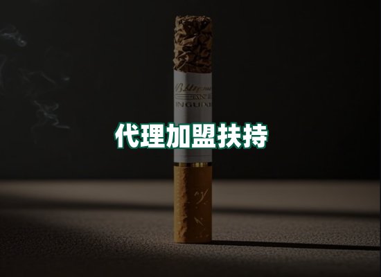 核心优势